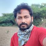 thulasi raja Profile Picture